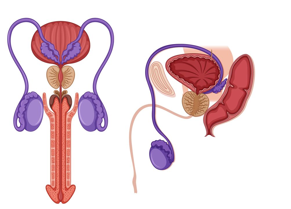 Prostatitis in men